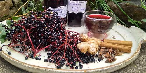 Autumn Berries: Nature mindfulness and Herbal Wellness Tea Ceremony