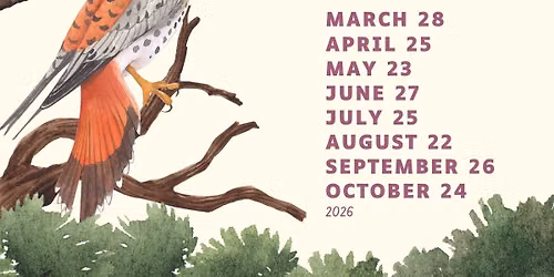 Frontier Park Bird Walks 