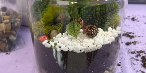 Closed Eco-System Terrarium Class