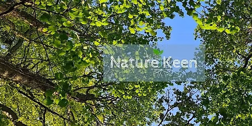Embracing Nature - An Introduction to the Basics of Foraging