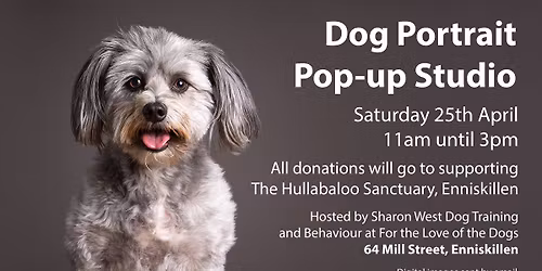 Dog Portrait Pop-up Studio