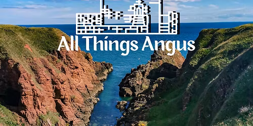 Camperdown and Templeton litter pick