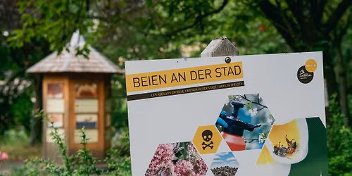 Beien an der Stad \ud83d\udc1d