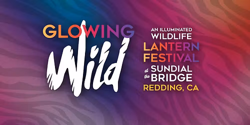 Glowing Wild Lantern Festival 