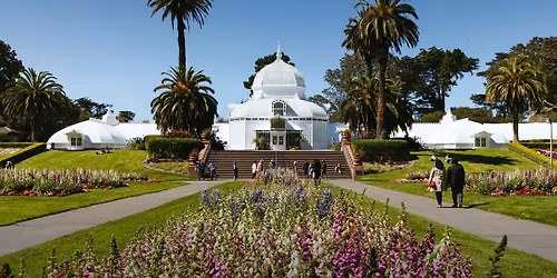 Parking Barely Alive (19+)