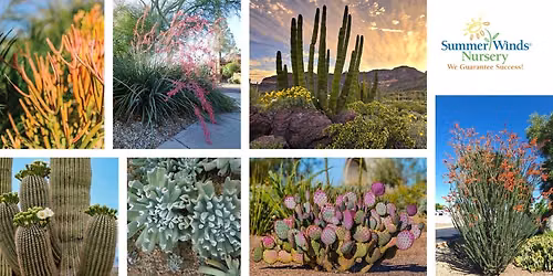 Bold & Beautiful: Sun-Loving Succulents and Cacti- (GLENDALE)