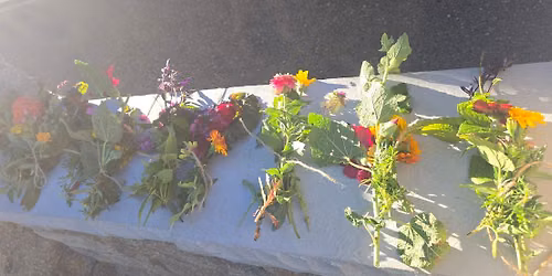 Bulldog Bloom Bundles in the VOH Community Gardens!