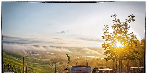 Portes Ouvertes \/ Tasting Days - Domaine Goldbierg