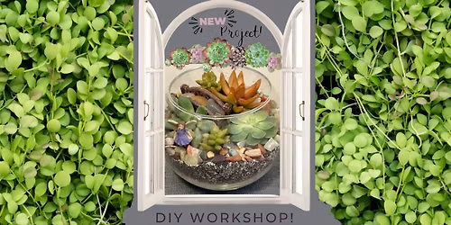 Succulent Terrarium