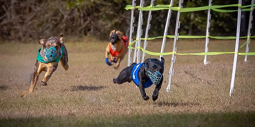 GIT NOTRA, NOTRA-OB, AOK9