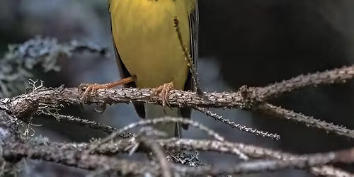 Stand Up for Wildlife \u2013 Stop Nuclear Waste!