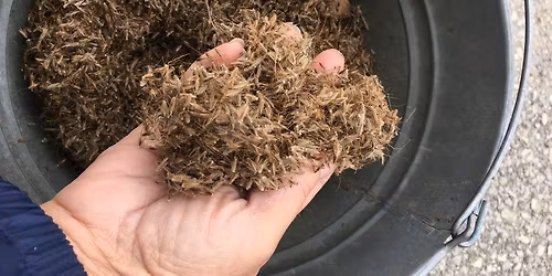 Propagation Workshop: Expand Your Garden with Seeds