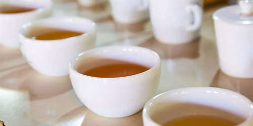 White & Yellow Tea Tasting
