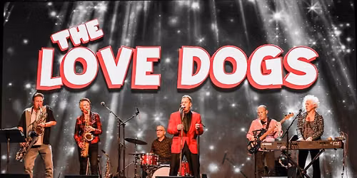 Love Dogs 