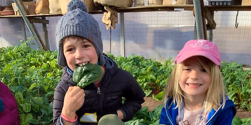 School Days Off Class: Farm to Fork: Full Bellies and Full Hearts