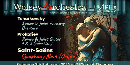 Wolsey Orchestra February Concert