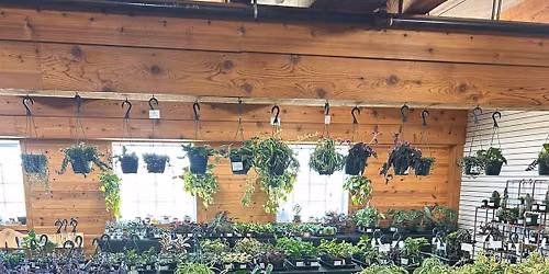 June Plant Bingo