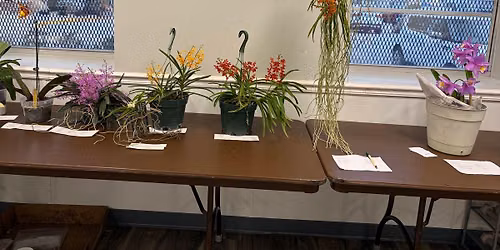 June 16th Meeting