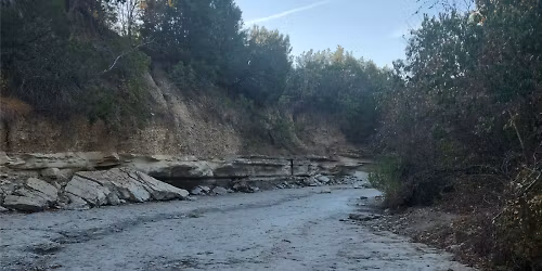 Bluff, Brick, and Bazaar- Walnut Creek area (note 10 AM start!)