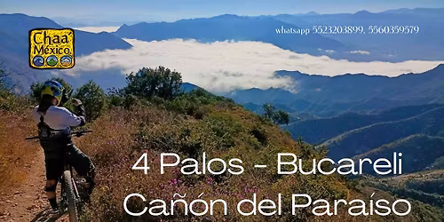 4 Palos - Bucareli - Ca\u00f1\u00f3n del Para\u00edso.