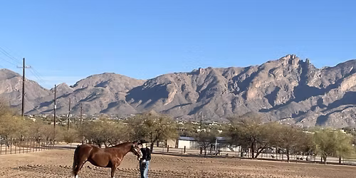 The Mane Event All Breed Buckle Circuit #2