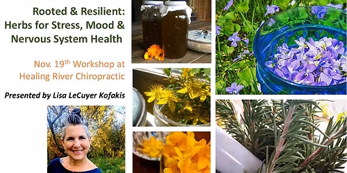 Rooted & Resilient: Herb for Stress, Mood & Nervous System Health