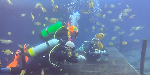 2026 May Open Water Scuba Certification Course