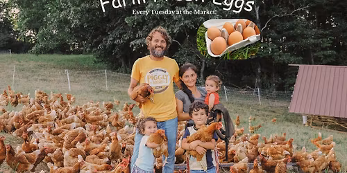 Your Farm Fresh Eggs \u2013 Every Tuesday in Knoxville!