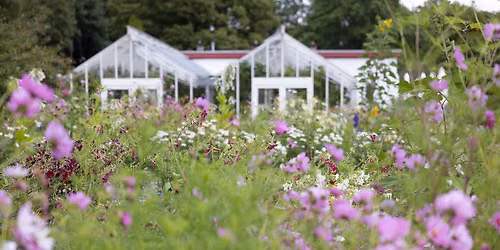 Sommer p\u00e5 Gartneriet: Blomster, bier og aktiviteter for hele familien \ud83c\udf38\ud83d\udc1d