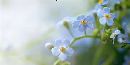 Alzheimer's Disease and Dementia Care Seminar