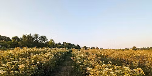 Grower Connections at the Farm to Cafeteria Conference