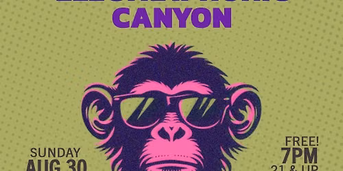 Radio Incognito, Electraphonic and Canyon
