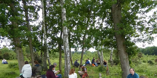 Plant Identification in the Field