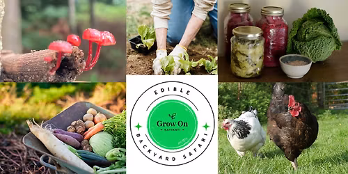 Edible Backyard Safari