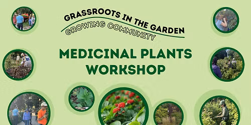 Medicinal Plants Workshop - Grassroots in the Garden: Growing Community