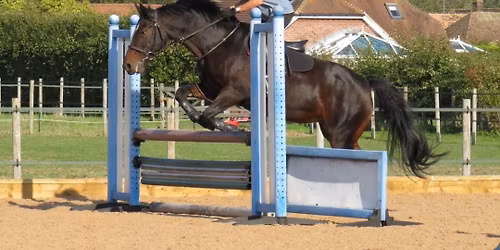 Course Jumping clinic with Nicki Bates