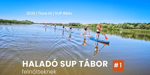 BETELT! - K\u00d6Z\u00c9P \u00c9S HALAD\u00d3 FELN\u0150TT SUP T\u00c1BOR SZ\u00c1LL\u00c1SSAL