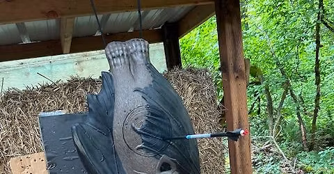 WV3D Leg 2 - Sylvan Archers