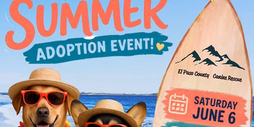 Paws Into Summer Adoption Event