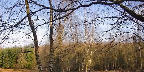 MABAC - Farley Heath - Waverley Harriers