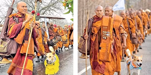 Meeting with Bhikkhu Pannakara ( WALK FOR PEACE leader )
