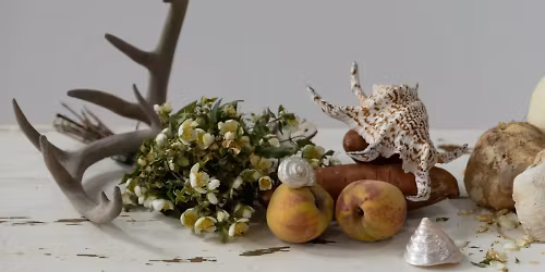 Julieta Venegas in Highland