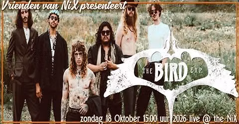 The Bird Experience live @ The NiX