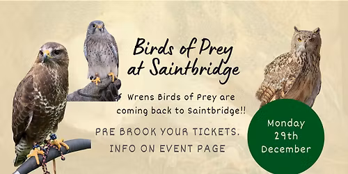 Birds of Prey return to Saintbridge with Wrens Birds of Prey