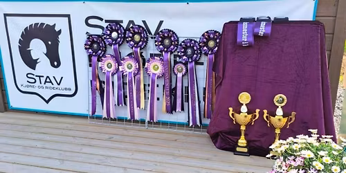 Temakveld: Stevnestart - Alt du trenger \u00e5 vite! 