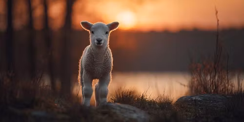 BROTHERS (AND SISTERS) IN CHRIST BIBLE STUDY