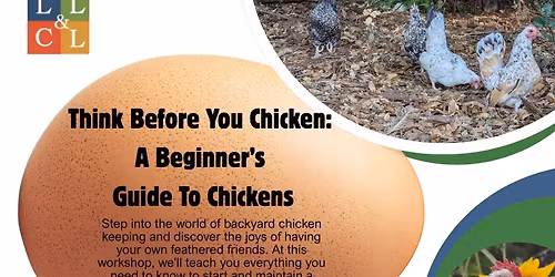 Think Before You Chicken: A Beginner's Guide to Chickens