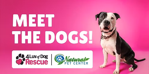 Meet the Dogs at Natural Pet Center