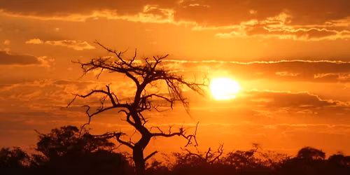 Namibia, Botswana & Victoria Falls | June 11-22, 2026 | \u20ac7599