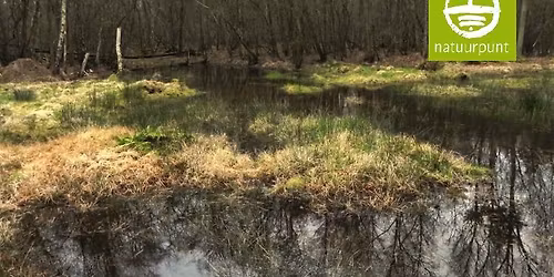 Trillen op het veen (wandeling)